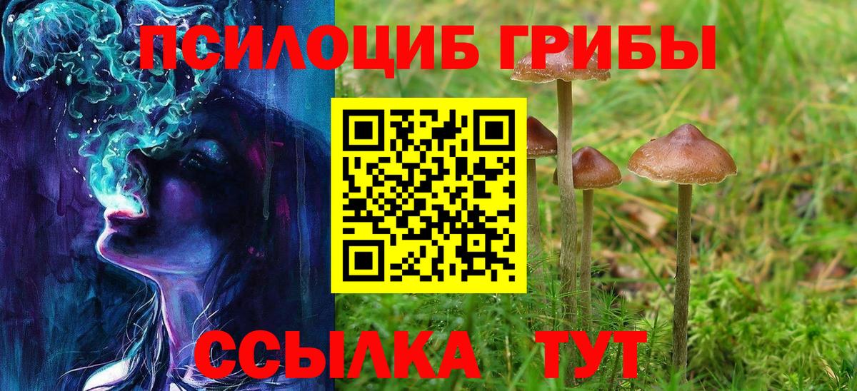 Галлюциногенные грибы Magic Shrooms Солнечногорск